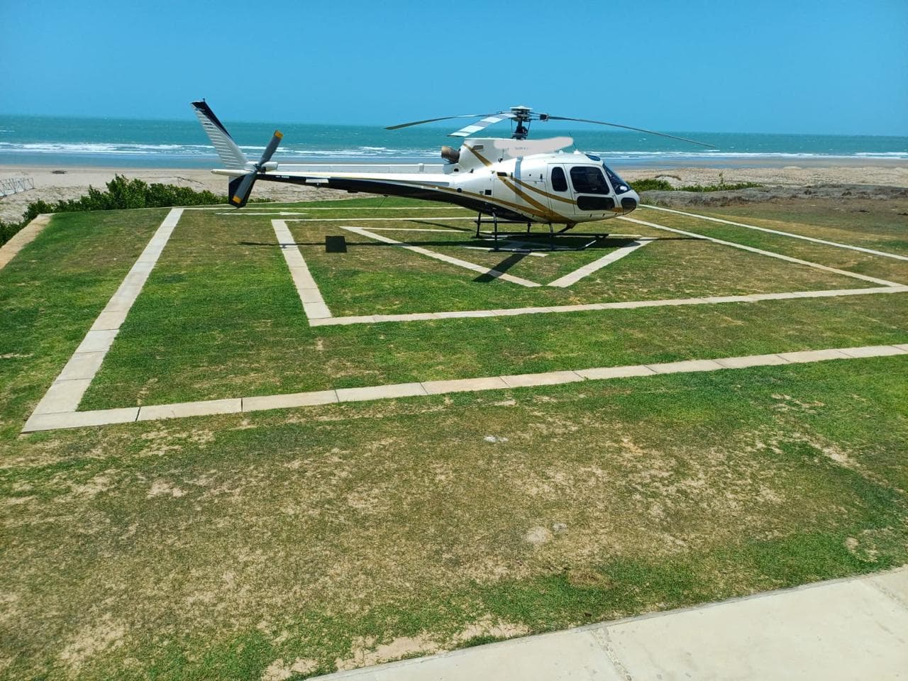 Peito de Moça - Luis Correia - SII7